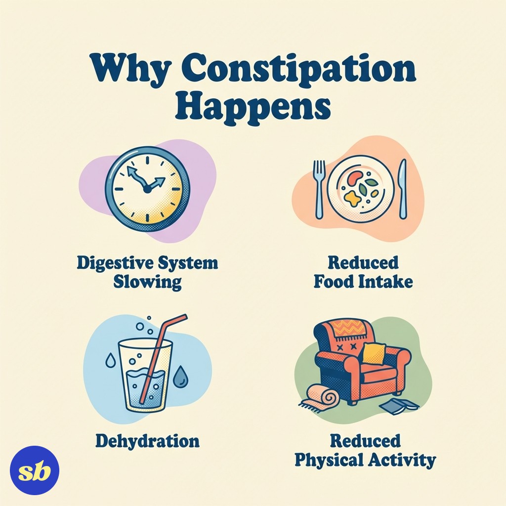 A person standing calmly with hand gently on stomach, surrounded by icons representing the causes of constipation: a slowed clock, a smaller plate of food, a water glass, and a couch suggesting reduced activity.