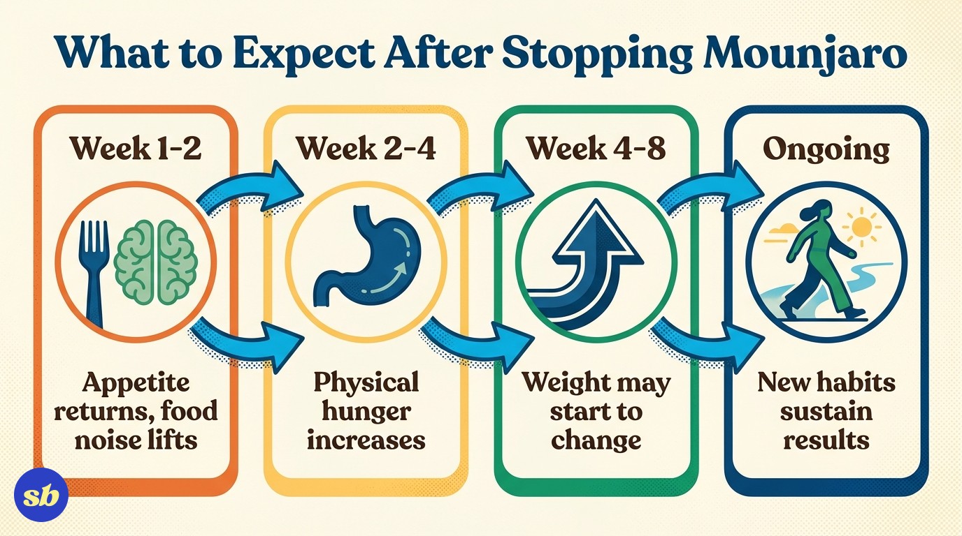 A four-step timeline diagram showing the progression of changes after stopping Mounjaro: Week 1-2 appetite returns, Week 2-4 physical hunger increases, Week 4-8 weight management becomes important, with icons for each stage.